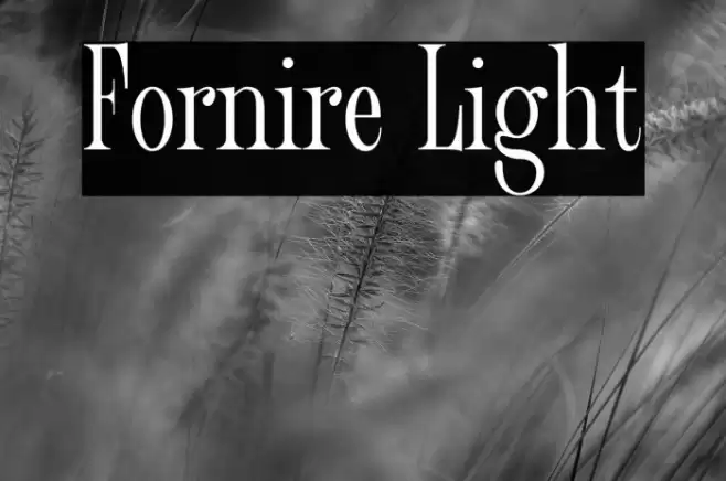 Fornire Light Font examples