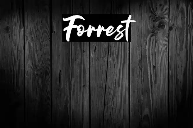 Forrest Font examples