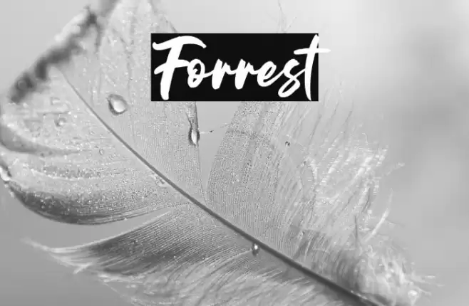 Forrest Font examples
