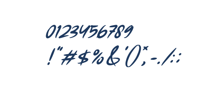 Forsegi Italic Other Characters