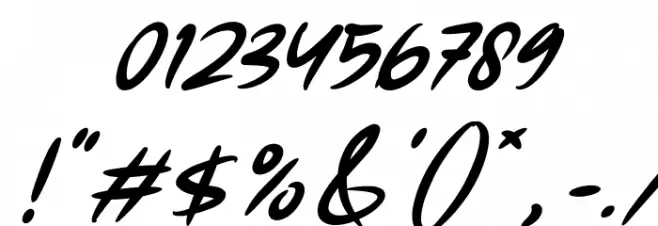 Forsegi Italic Font OTHER CHARS