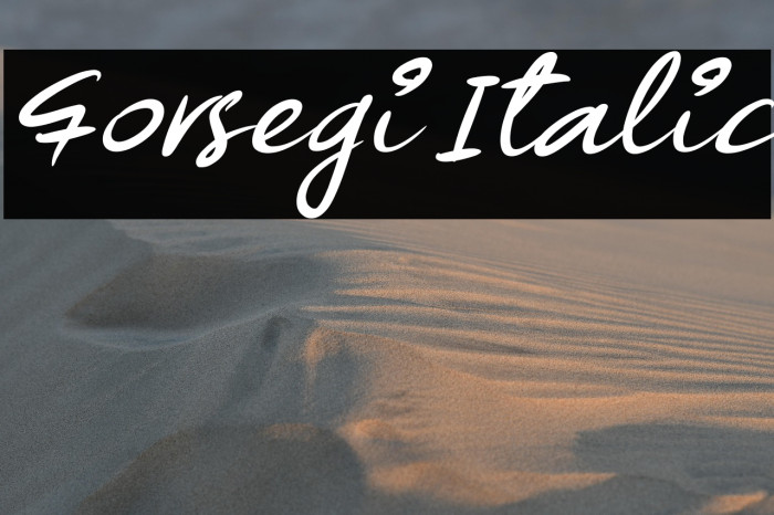 Forsegi Italic Example 3