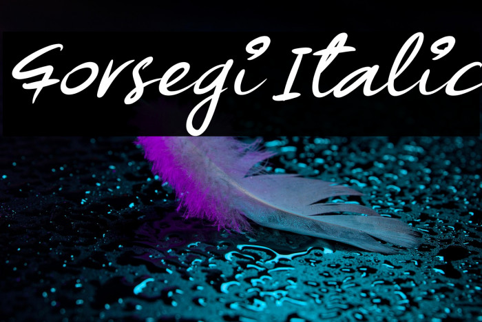 Forsegi Italic Example 2