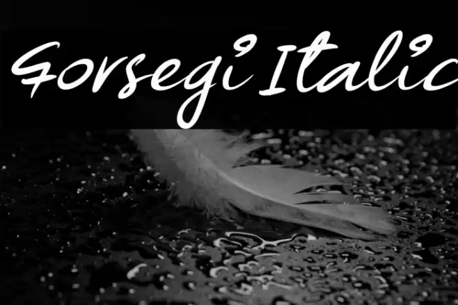 Forsegi Italic Font examples