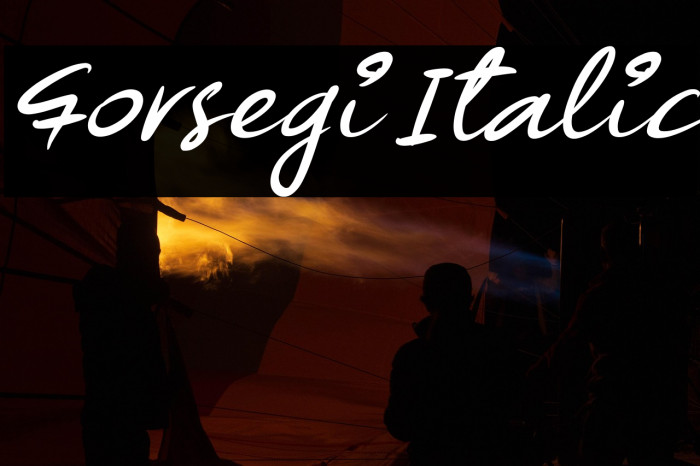 Forsegi Italic Example 3