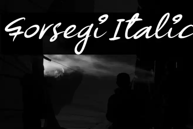 Forsegi Italic Font examples