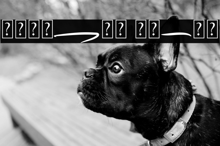 Forsegi Swash Example 3