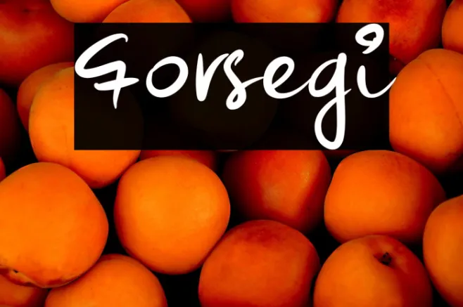 Forsegi Example 1