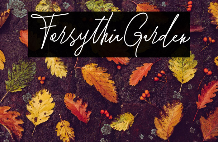 ForsythiaGarden Example 1