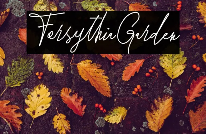 ForsythiaGarden Example 1
