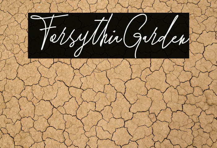 ForsythiaGarden Example 2