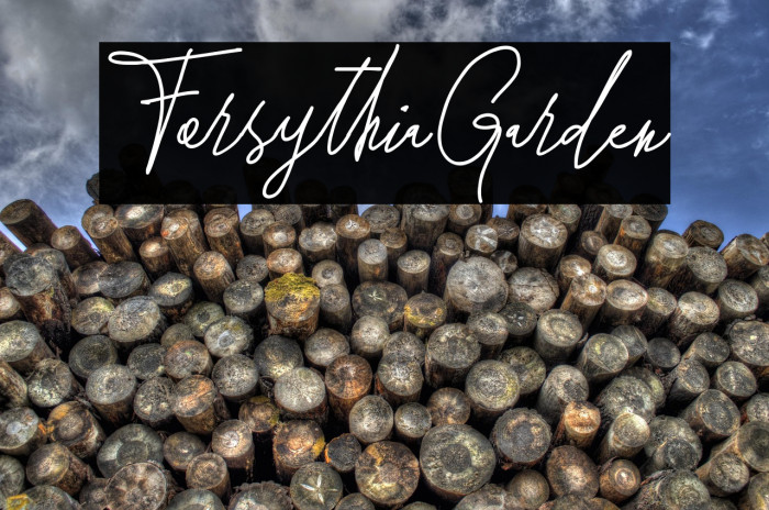 ForsythiaGarden Example 3