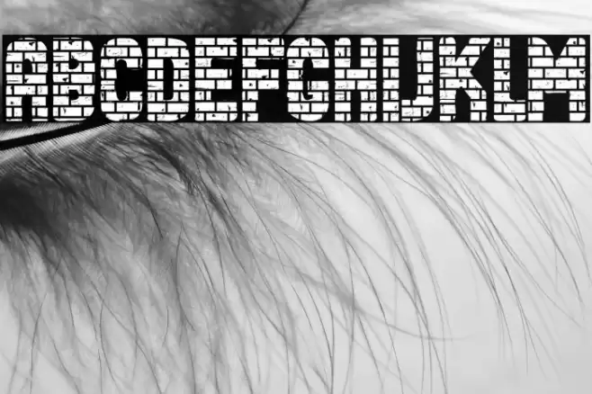 Fort Bold フォント examples