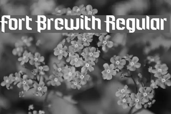 Fort Brewith Regular Font examples