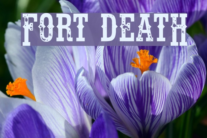 Fort Death Font examples