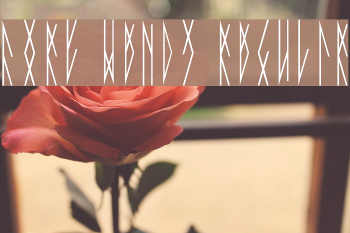 Fort Wendy Regular Example 1