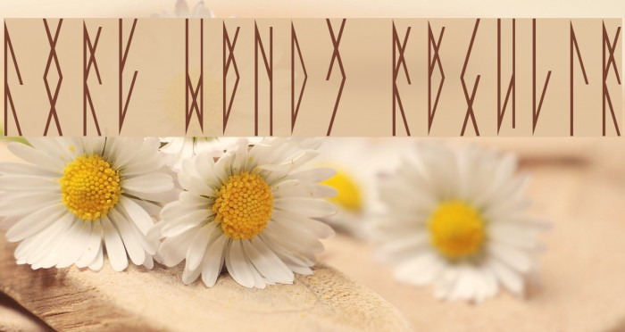 Fort Wendy Regular Example 2