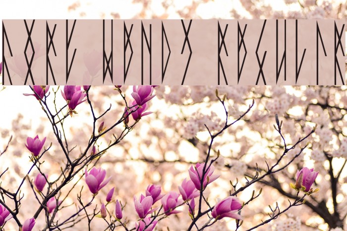 Fort Wendy Regular Example 3