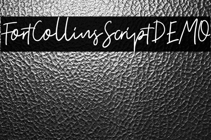 FortCollinsScriptDEMO Example 1