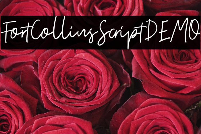 FortCollinsScriptDEMO Example 2