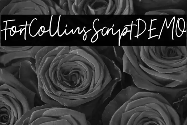 FortCollinsScriptDEMO Font examples