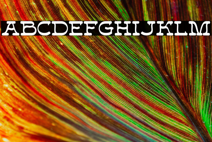 Forteast Demo Example 1