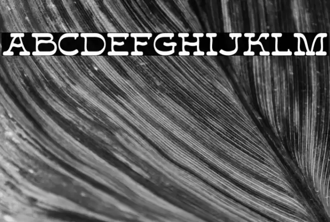 Forteast Demo Шрифта examples