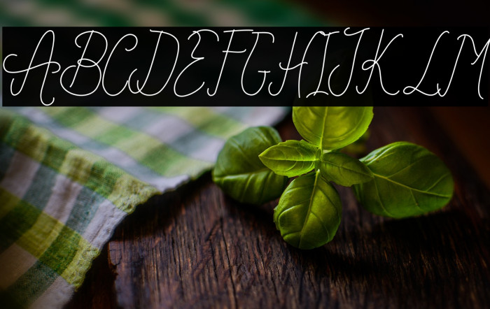 Forthcoming Example 1