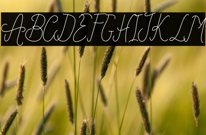 Forthcoming Example 2