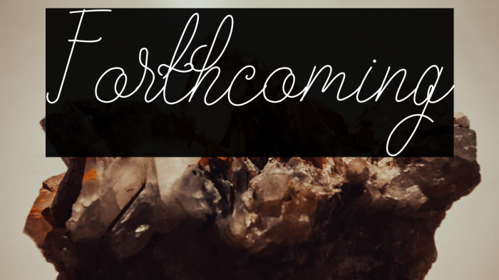 Forthcoming Example 1