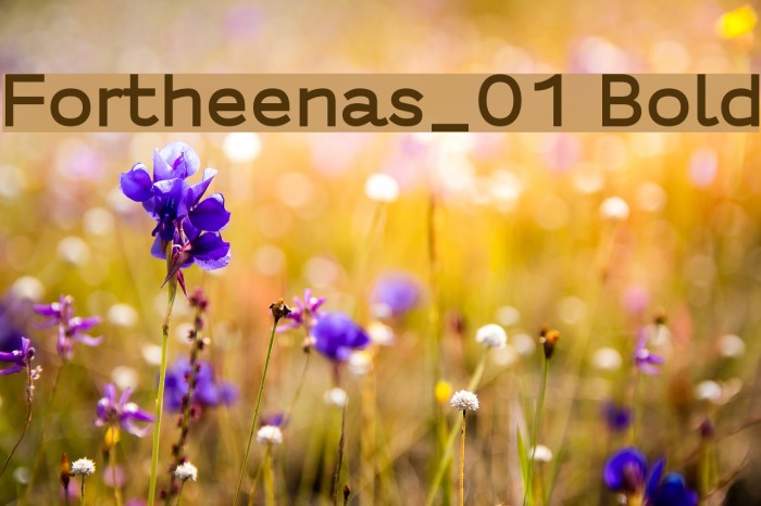 Fortheenas_01 Bold Font examples