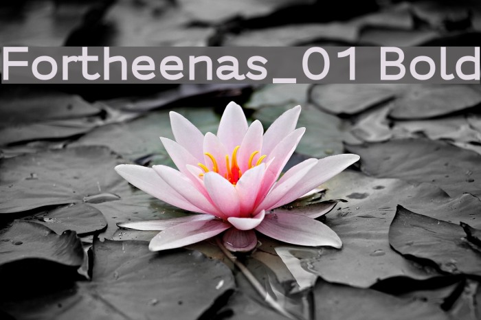 Fortheenas_01 Bold Font examples