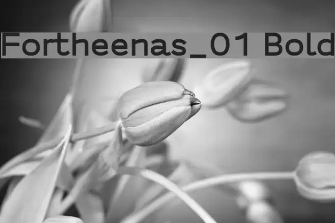 Fortheenas_01 Bold Font examples