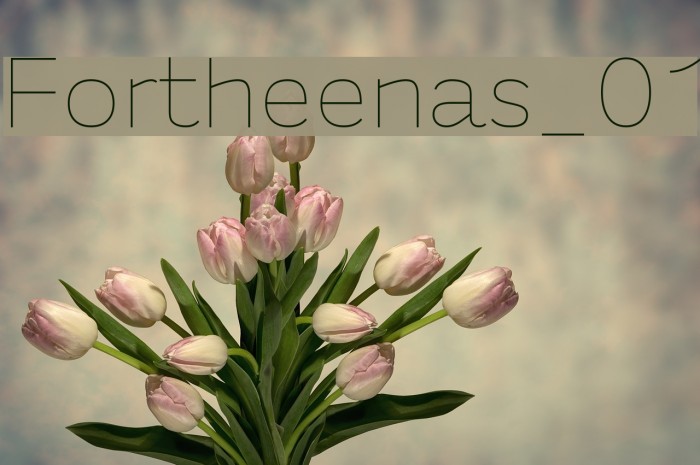 Fortheenas_01 Example 1