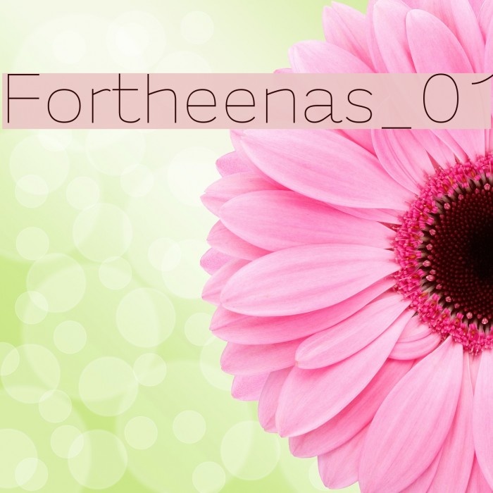 Fortheenas_01 Example 2