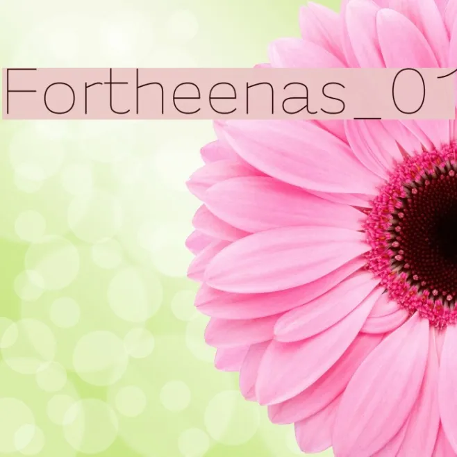 Fortheenas_01 Example 2