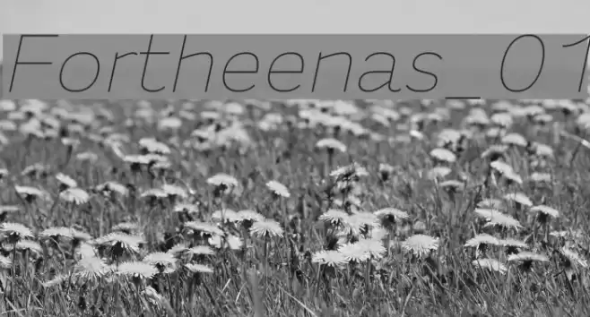 Fortheenas_01 Font examples