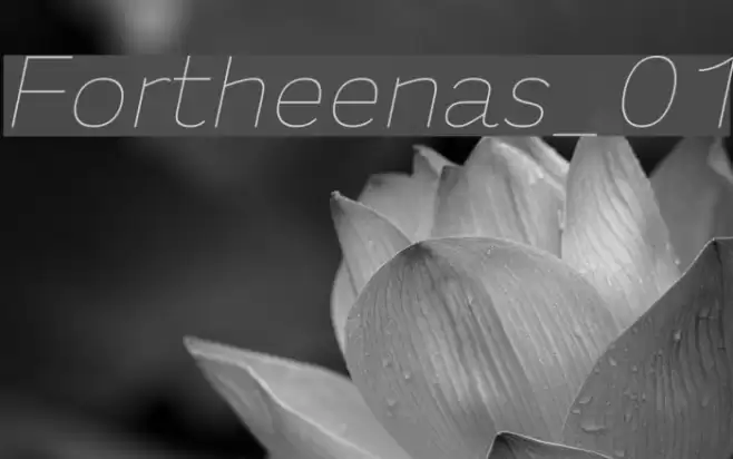 Fortheenas_01 Font examples