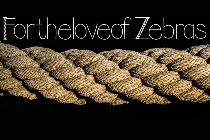 FortheloveofZebras Example 1