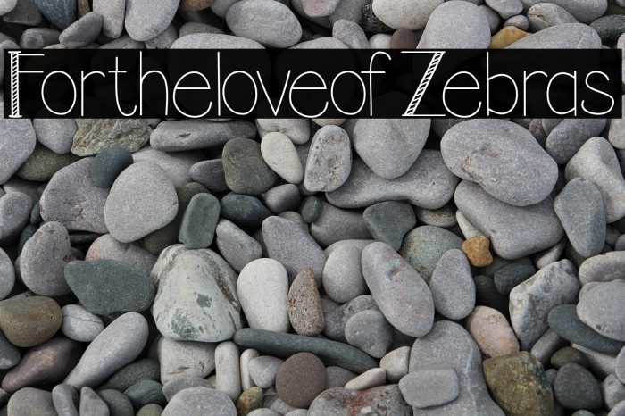 FortheloveofZebras Example 2