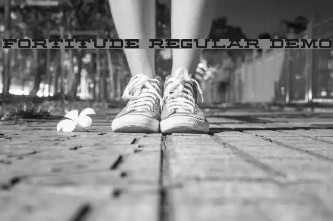 Fortitude Regular Demo Font examples