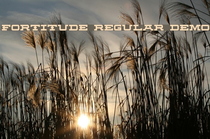 Fortitude Regular Demo Example 3