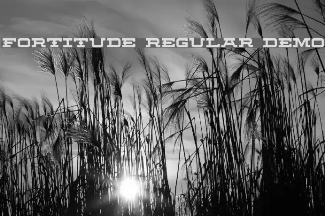 Fortitude Regular Demo Font examples