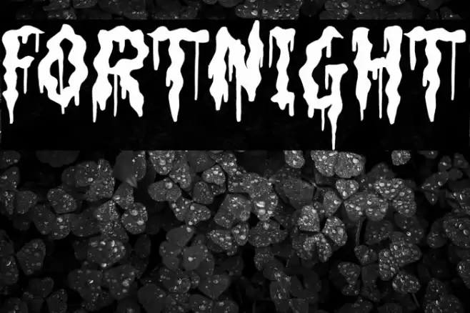 Fortnight Font examples