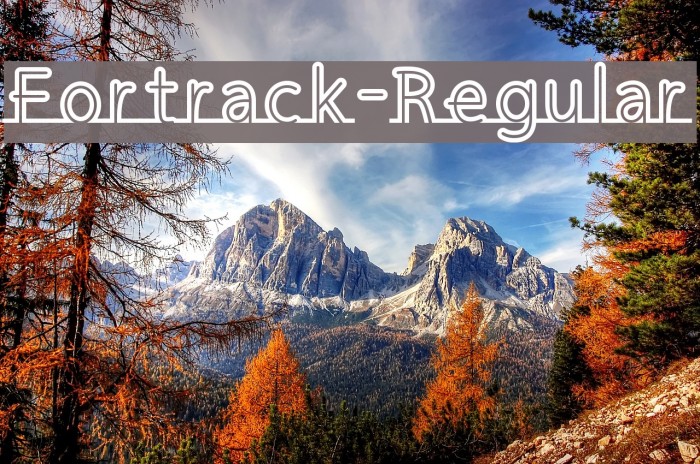 Fortrack-Regular Font examples
