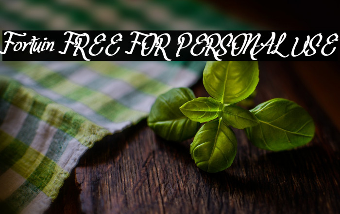 Fortuin FREE FOR PERSONAL USE Example 2