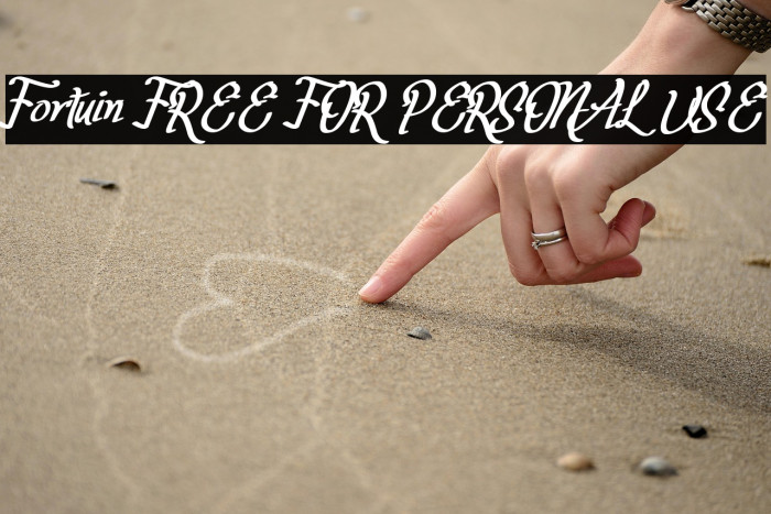 Fortuin FREE FOR PERSONAL USE Example 3