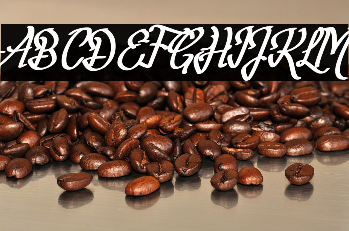 Fortuin Handlettering Example 2