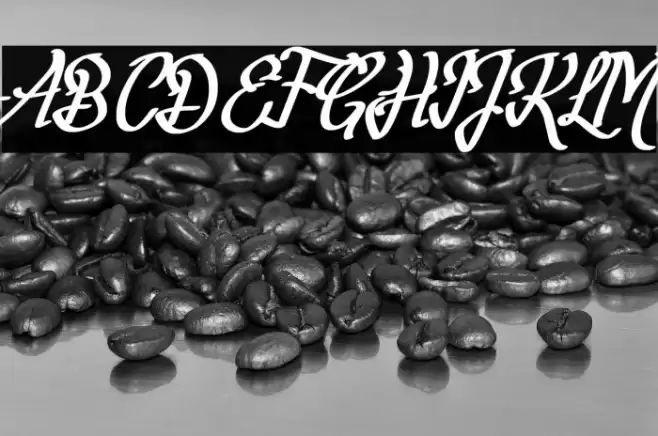 Fortuin Handlettering Font examples