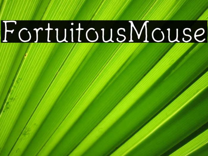 FortuitousMouse Font examples